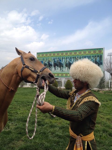 In 2011, Berdimuhamedov ordered an annual horse beauty contest, which is solely for the Akhal-Teke breed -- featured in the national emblem -- to compete in. 