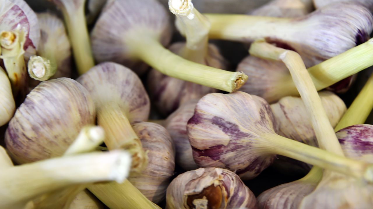 Garlic, leeks, wheat and barley contain inulin, a type of fiber that promotes healthy gut bacteria. 