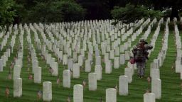 Arlington Cemetery Flags In Memorial Day_00001027.jpg