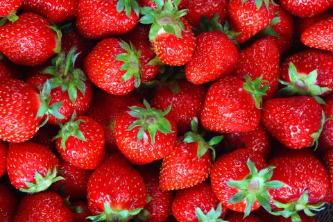 To get the full spectrum of health benefits, you want to avoid cutting strawberries for as long as possible. 