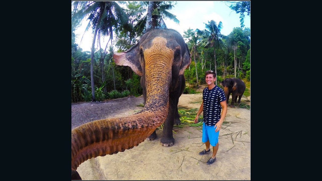 An elephant on the Thai island of Koh Phangan grabbed tourist Christian LeBlanc's camera and captured what he's calling an "elphie."