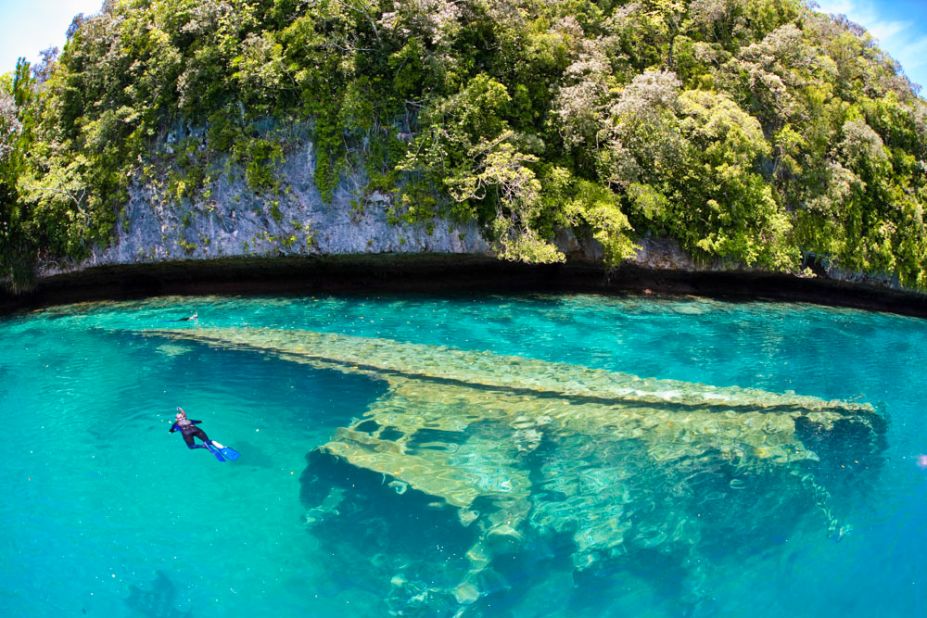Palau's shallow and healthy reefs are home to a diverse range of habitat. Snorkelers often encounter turtles, tropical fish, manta rays and sharks.
