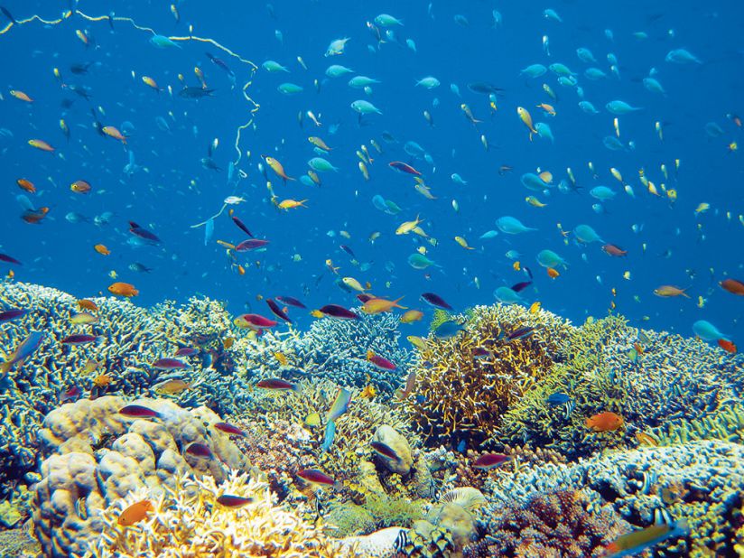 Top 10 Places in the Western Caribbean to Snorkel and Dive