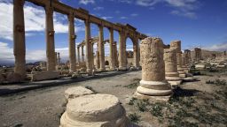 aman Palmyra