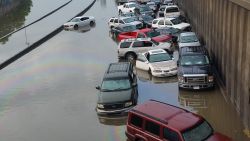 flooding cars irpt
