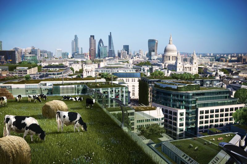 Can Urban Farms Feed Our Cities CNN   150526144847 Future City London Urban Farms 