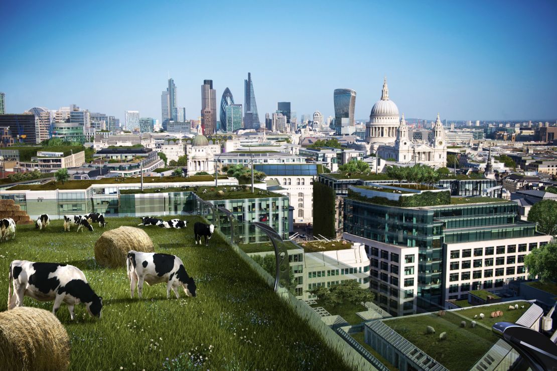 Futurologists predict cows grazing atop London's skyscrapers will become the norm in 100 years