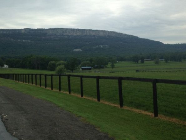 The quiet plot of land where the 3D printed estate is set to be built.