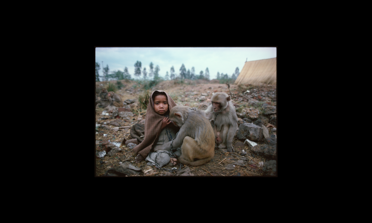 Monkey trainer's daughter, Old Delhi, India, 1979.