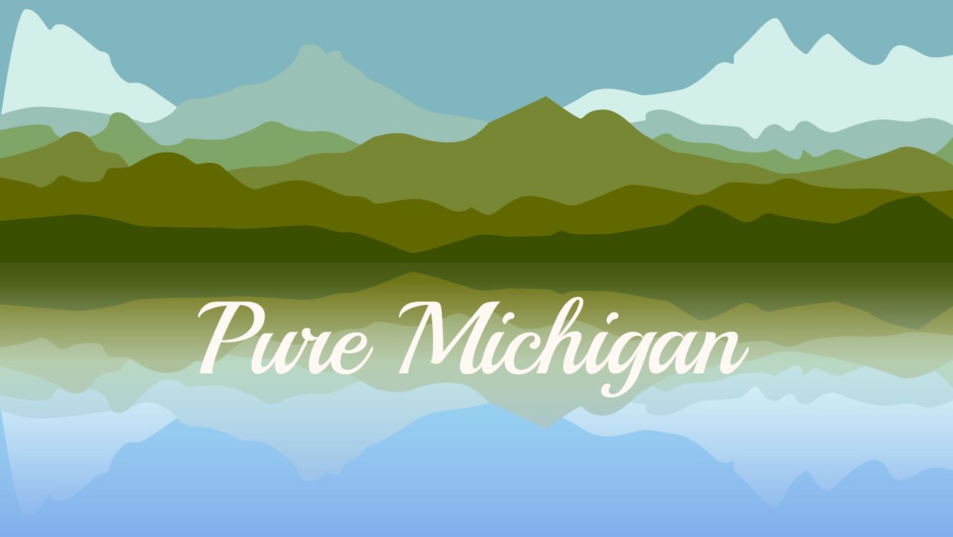 The New Zealand campaign was so successful that it spawned a similar campaign in Michigan. The Pure Michigan campaign has 198,000 Instagram and 177,000 followers, and the phrase has also been turned into a hashtag.
