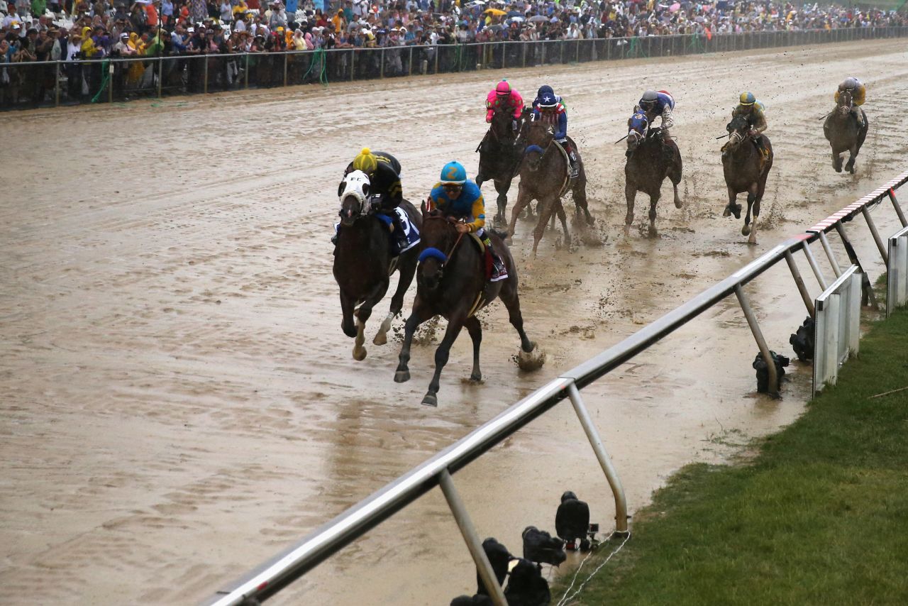 American Pharoah leads the field into the first turn of the Preakness. The Preakness is the second leg of the Triple Crown, following the Kentucky Derby.