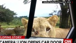 american woman killed by lion in south africa_00033007.jpg