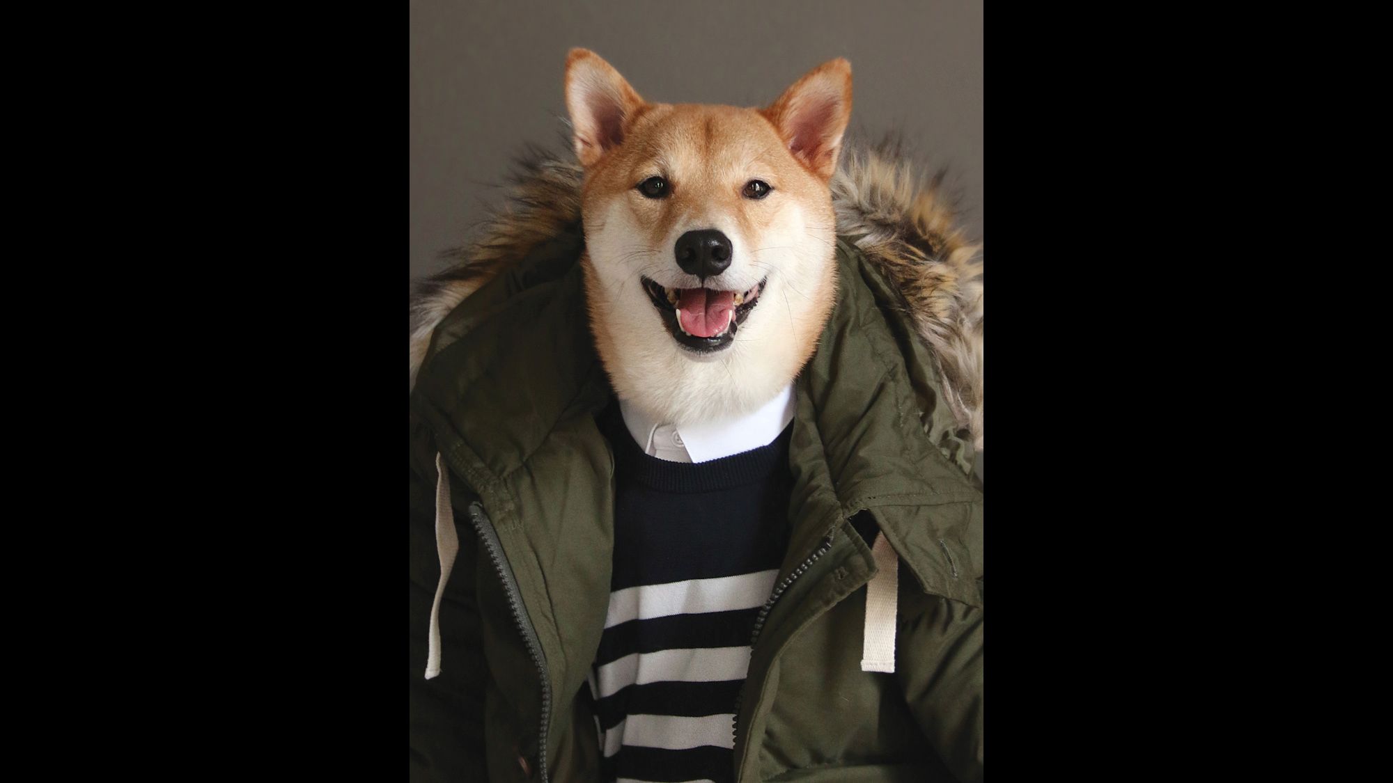 Menswear Dog