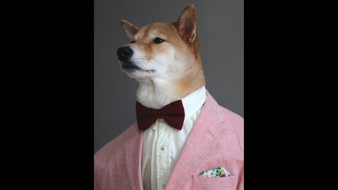 Bodhi, the Shiba Inu who is the star of the Menswear Dog blog, wears a pale suit jacket, oxford shirt and bow tie in this image from the book <a href="http://www.workman.com/products/9781579656164/" target="_blank" target="_blank">"Menswear Dog Presents: The New Classics."</a> Click through to see more of Bodhi's styles as they are presented online and in the book.