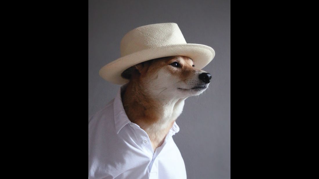 Panama hat, white polo shirt