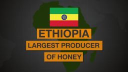 ethiopia honey spc africa view_00001330.jpg