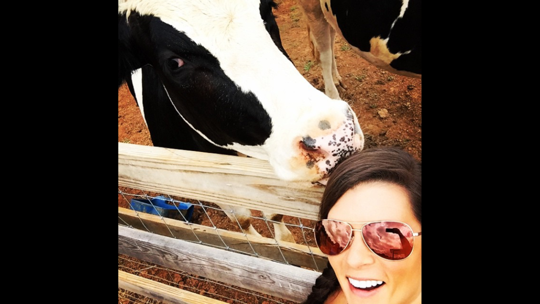 Patrick is quite a fan of the selfie. Here she poses with a cow, while she has been known to take snaps during training sessions and behind the scenes in the racing pits.