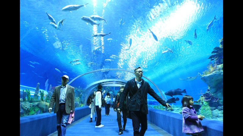 Chimelong Ocean Kingdom, in China's Guangdong province, opened in January 2014. 