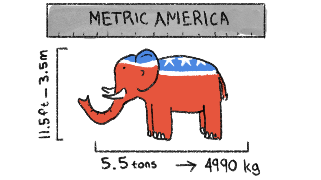 chafee metric system 1