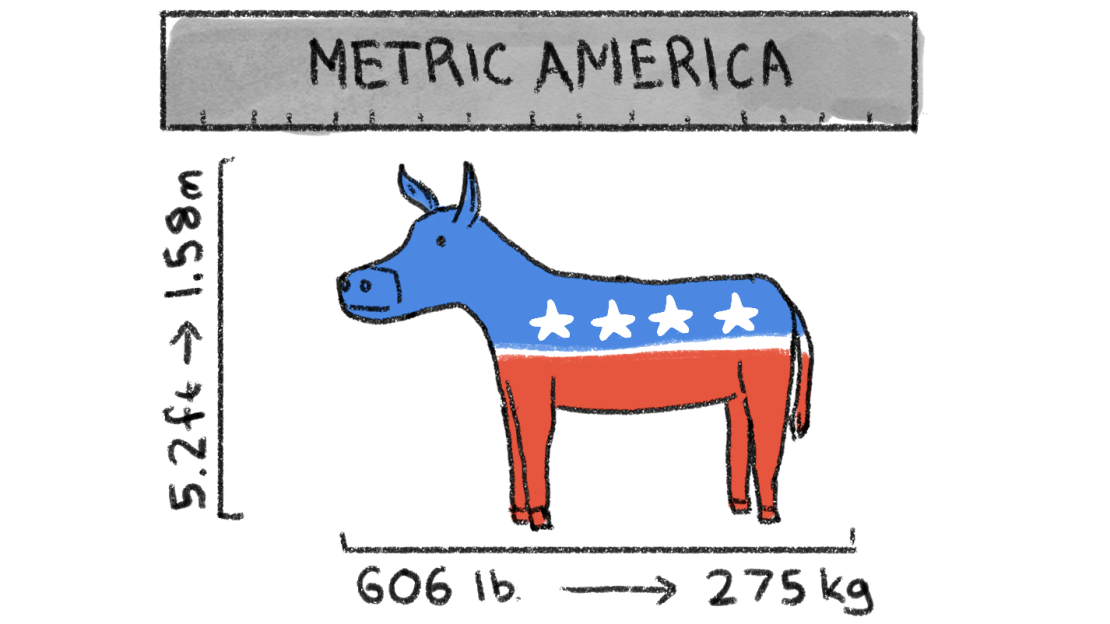 chafee metric system 4