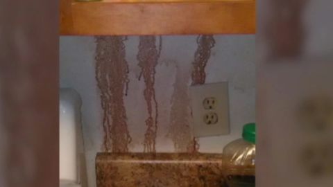 apartment bleeding wall pkg_00000826.jpg