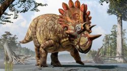 hellboy dinosaur regaliceratops