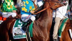 JUNE 06: American Pharoah #5, ridden by Victor Espinoza, is led to the starting gate during the 147th running of the Belmont Stakes at Belmont Park on June 6, 2015 in Elmont, New York. (Photo by Rob Carr/Getty Images)