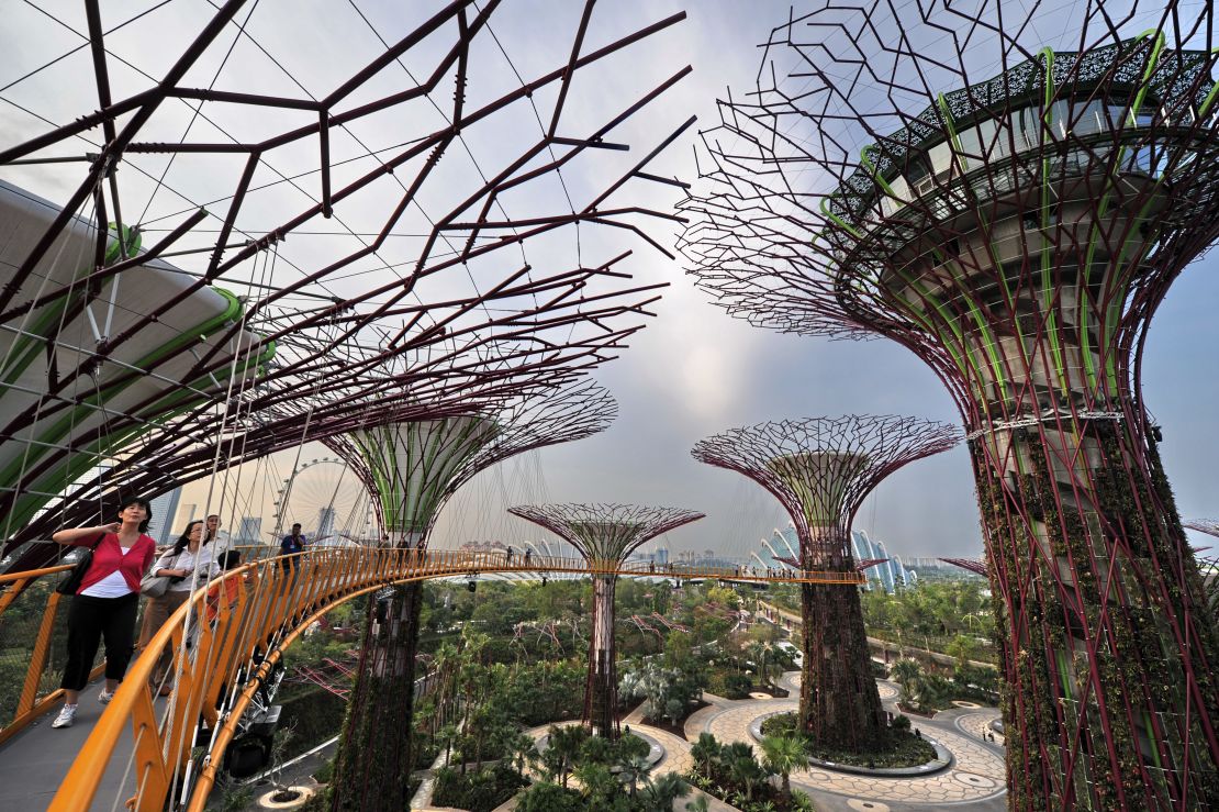 A 50-year drive by the Singapore government maintain the city's green environment while increasing development have resulted in one of the world's highest rates of canopy cover. 