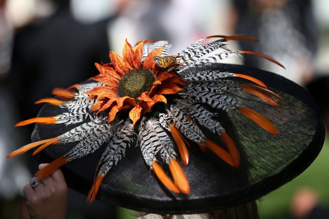 Feathers and a flower adorn a more ornate fascinator, with this example being worn at Ascot in June 2014.