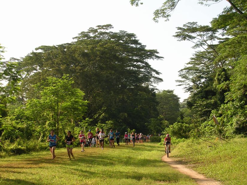 A 15-mile stretch of hidden parkland opened in 2014, known as the Green Corridor. This was a people-led movement to conserve the land which includes a disused railway.