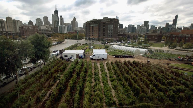 Farmers markets near you a usda tool cnn
