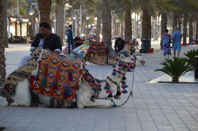 <strong>The camels:</strong> They're pretty much everywhere, even taking a rest on the promenade. <a href="index.php?page=&url=http%3A%2F%2Fireport.cnn.com%2Fdocs%2FDOC-1248304">Markku Rainer Peltonen</a> snapped this photo while on vacation in the beach resort town of Hurghada. 