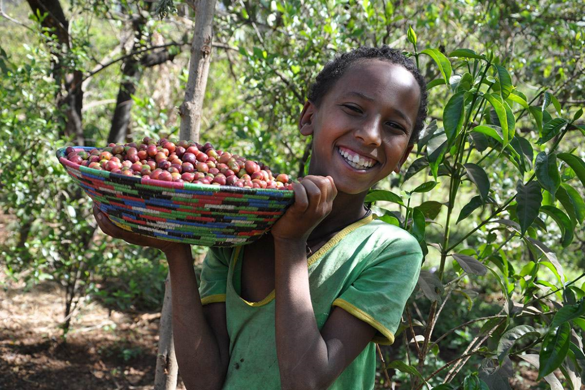 Dukale's daughter shows off a bowl of coffee cherries.