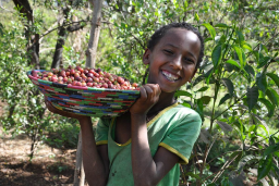 Dukale's daughter shows off a bowl of coffee cherries. Dukale's family spent their days collecting firewood, putting off education and business goals.