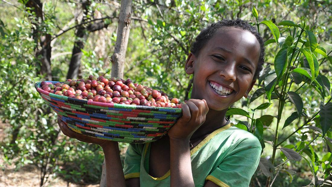 Dukale's daughter shows off a bowl of coffee cherries. Dukale's family spent their days collecting firewood, putting off education and business goals.