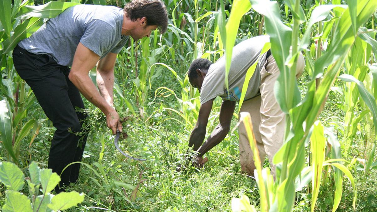 The pair plant a tree in Ethiopia. Jackman likes Dukale's coffee so much, he markets it. Laughing Man Coffee has partnered with Keurig to launch Dukale's Blend.
