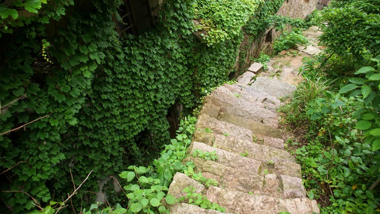 Ferns, weeds and vines cover steps of this once bustling village filled with fisherman and their families. 