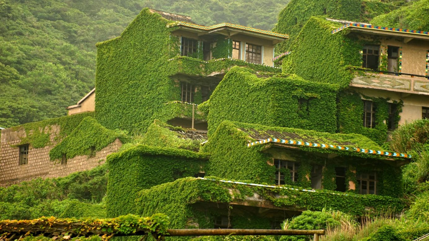The vines that cover buildings look like an intentional part of the city's design, perhaps to add a touch of greenery. 