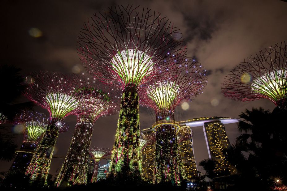 A famous symbol of Singapore's greenery, the supertrees at the Gardens by the Bay vary from 25 to 50 meters in height, have steel structures that harvest rainwater for use in the gardens, and solar panels to generate power.