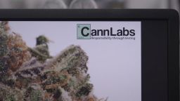 cannabis labs high profits_00001806.jpg