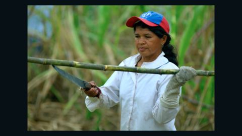 A Fairtrade sugar cane farmer in South America.