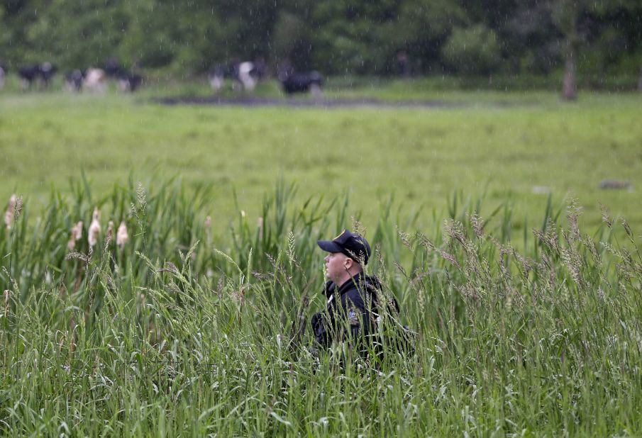 An officer walks through a swampy area near Essex on June 9.