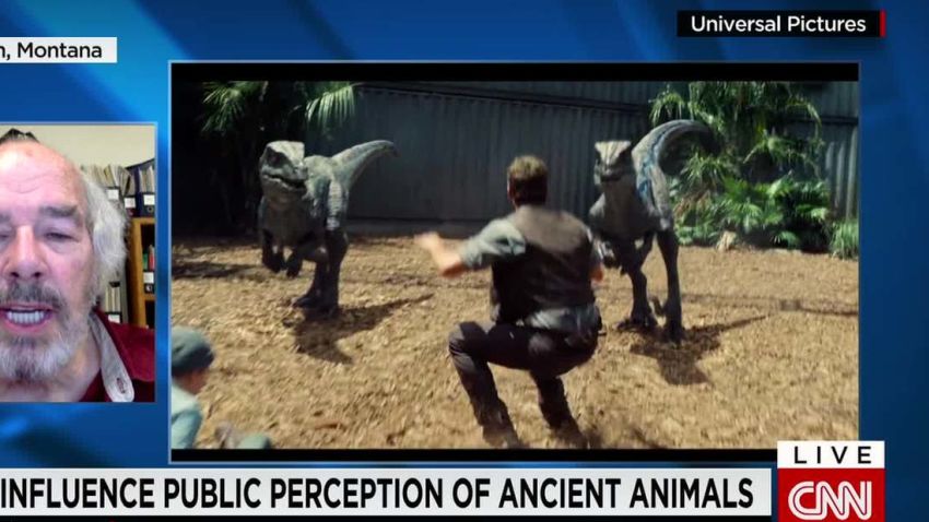 Dinosaur movies improve knowledge lu stout intv ns_00043410.jpg