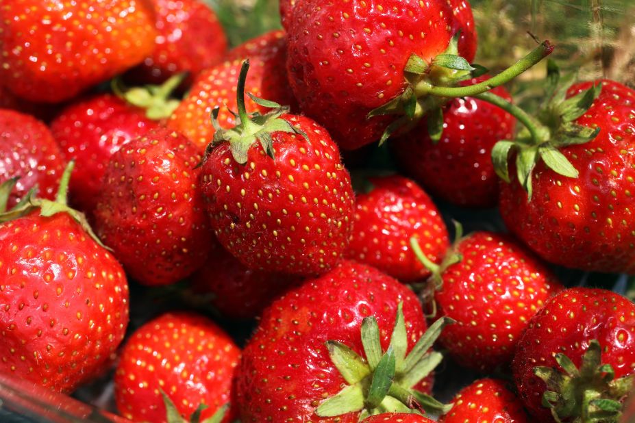 <a href="http://edition.cnn.com/videos/world/2016/05/18/african-start-up-cappeny-estates-spc.cnn">One entrepreneurial couple</a> in Durban, South Africa set up Cappeny Estates, a surprisingly booming strawberry farm despite the hot and humid weather of the region. After being rejected by several banks, the couple eventually secured a loan of $ 1.5 million, which allowed the business to kick off.  