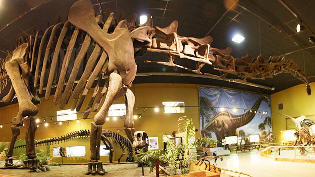 Visitors to the Wyoming Dinosaur Center can spend the day talking to real paleontologists and try digging up bones.