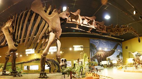 Visitors to the Wyoming Dinosaur Center can spend the day talking to real paleontologists and try digging up bones.