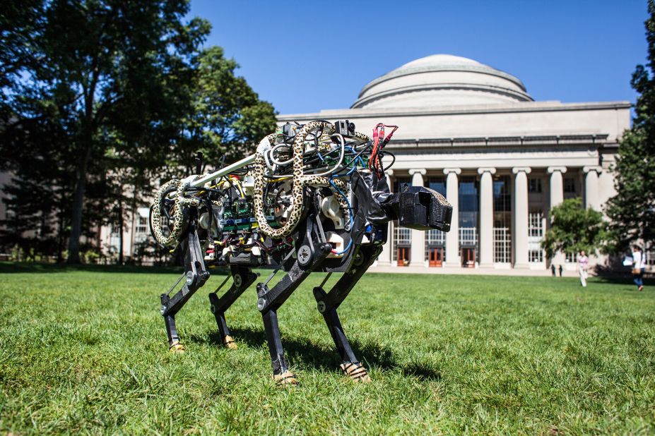MIT's cheetah-bot in Killian Court. A new algorithm allows the robot to run and jump.