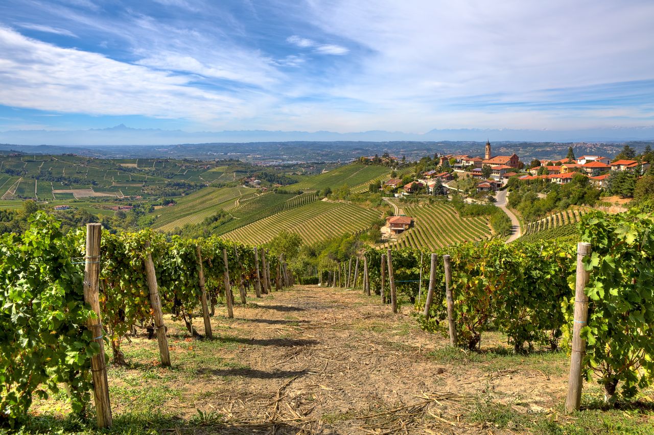 You'll notice the world moves a bit more slowly when you enter the <a href="http://www.lonelyplanet.com/italy/liguria-piedmont-and-valle-daosta/piedmont" target="_blank" target="_blank">Piedmont region of Italy,</a> where the rolling countryside, vineyards and hilltop towns gave birth to the world's <a href="http://www.slowfood.com/" target="_blank" target="_blank">Slow Food</a> movement. And don't forget to visit the recently renovated <a href="http://www.museoegizio.it/en/" target="_blank" target="_blank">Museo Egizio</a>, an Egyptian museum founded in 1824. Lonely Planet calls it "the most important collection of Egyptian treasure outside Cairo."