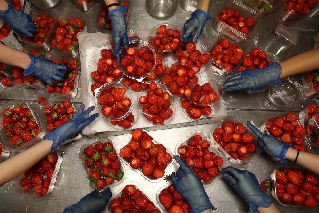 The preparation of the strawberries is serious business.
