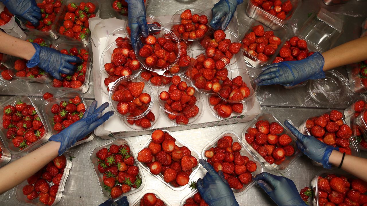 The preparation of the strawberries is serious business.